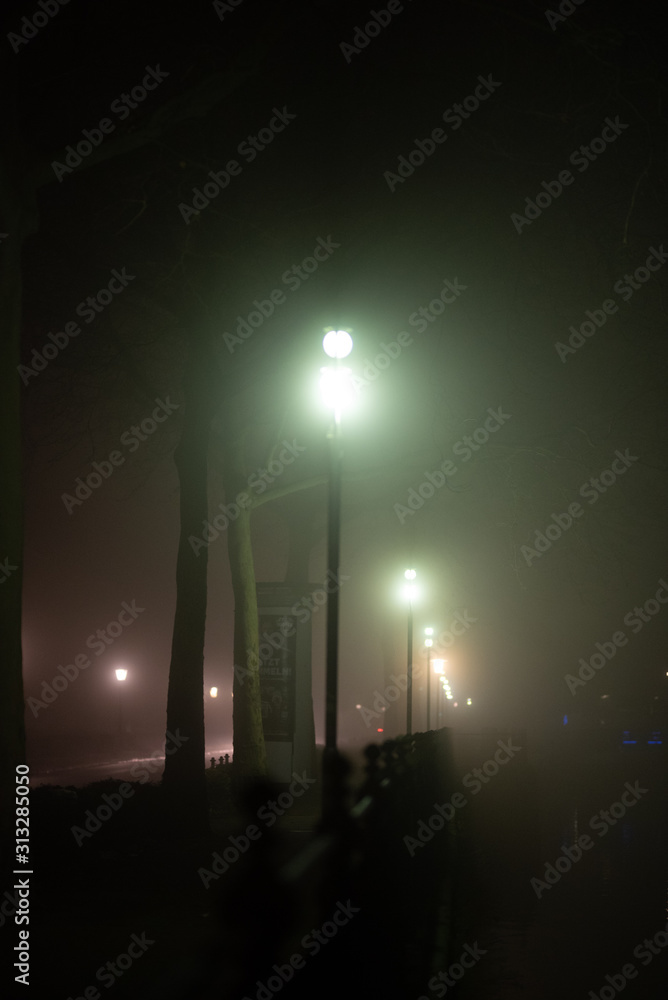 Straße, Alee im Nebel, Lichtstimmung Straße, Alee im Nebel, Lichtstimmung