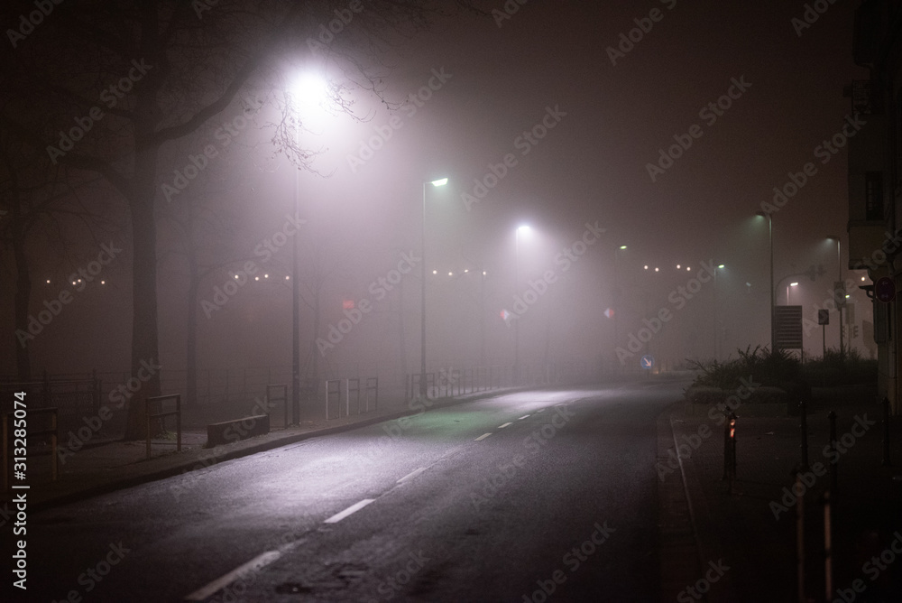 Straße, Alee im Nebel, Lichtstimmung