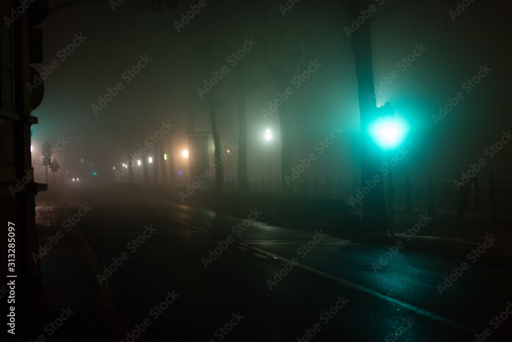Straße, Alee im Nebel, Lichtstimmung Straße, Alee im Nebel, Lichtstimmung