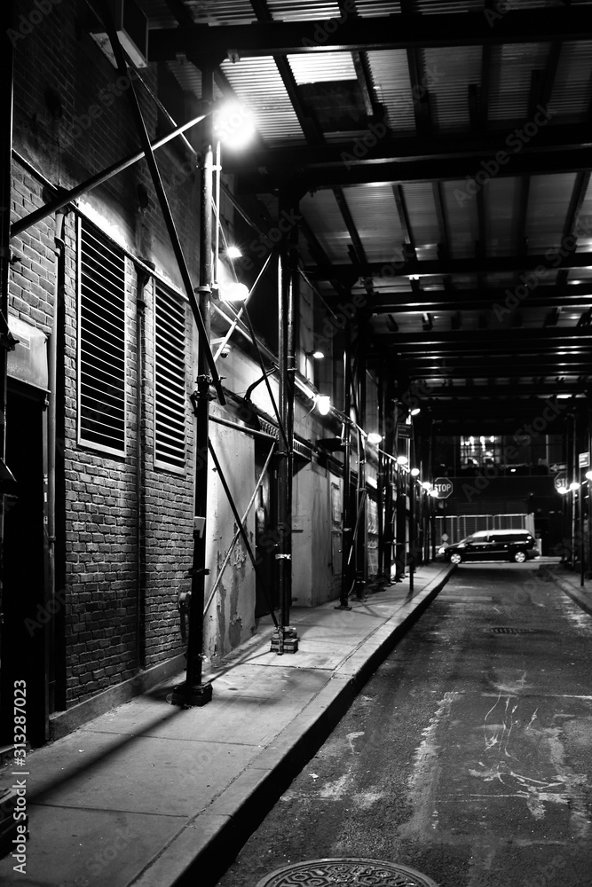 New York City captured in black and grey architectures and scenes New York City captured in black and grey architectures and scenes
