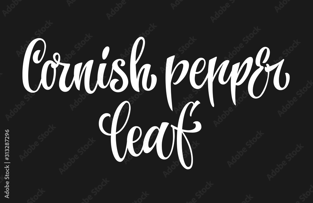 White colored hand drawn spice label - Cornish pepper leaf. Isolated ...