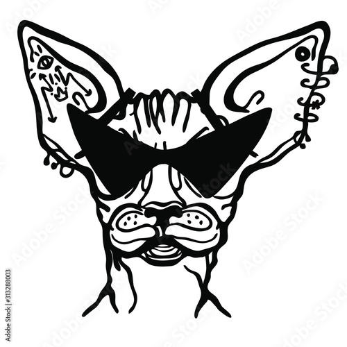 Cat sphinx piercing style with tattoo. Piercing cartoon cat handdrawn illustration isolated on white for design