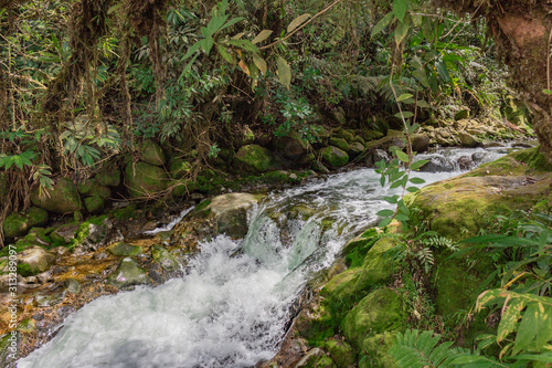 waterfall in forest