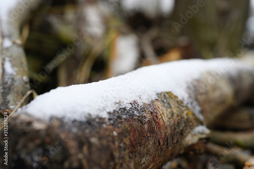 a small amount of snow on the wood and stumps. winter with little snow