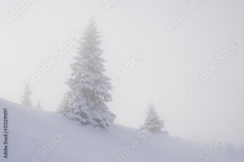 Nebel in den Bergen