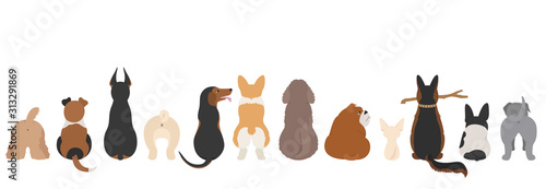 Dogs poses behind. Dog`s butts. Flat design border