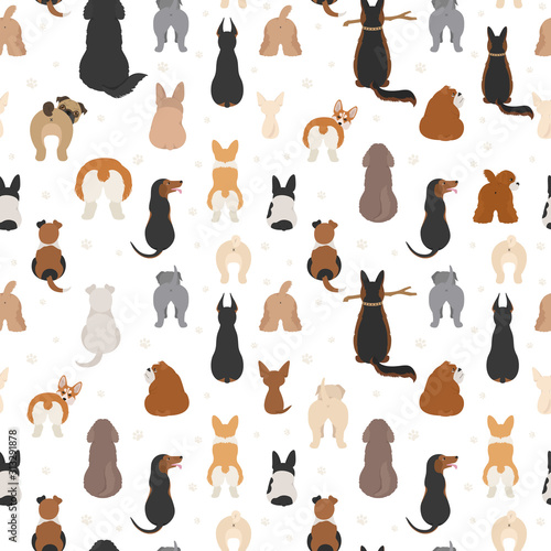 Dog poses behind. Dog`s butts. Flat design seamless pattern photo