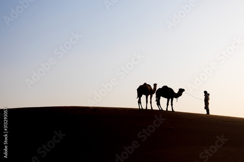 Bedouin and camel on way through sandy desert Nomad leads a camel Caravan in the Sahara during a sand storm in Morocco Desert with camel and nomads Silhouette man Picturesque background nature concept © Michal