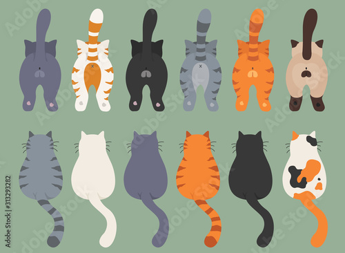 Cats poses behind. Cat`s butts. Flat design clipart