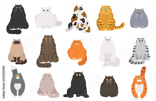 Cat poster. Cartoon cat characters collection. Different cat`s poses and emotions set. Flat color simple style design