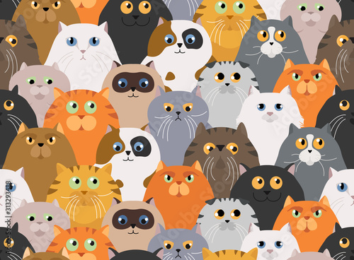 Cat poster. Cartoon cat characters seamless pattern. Different cat`s poses and emotions set. Flat color simple style design