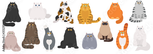 Cat poster. Cartoon cat characters collection. Different cat`s poses and emotions set. Flat color simple style design