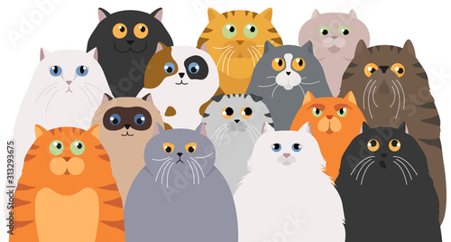 Cat poster. Cartoon cat characters collection. Different cat`s poses and emotions set. Flat color simple style design