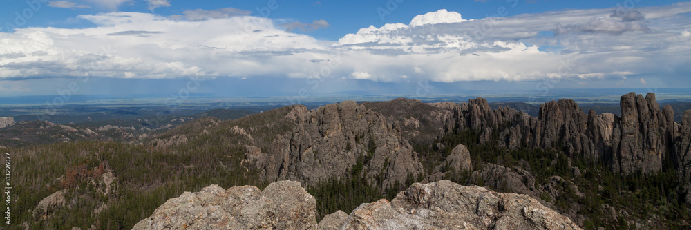 Custer State Park Landscape View
