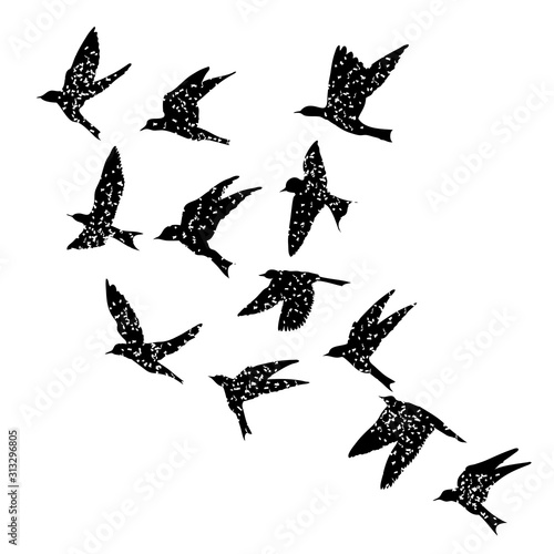 Isolated textured stipple silhouette of birds flock in the air Inspirational body flash tattoo ink. Vector.