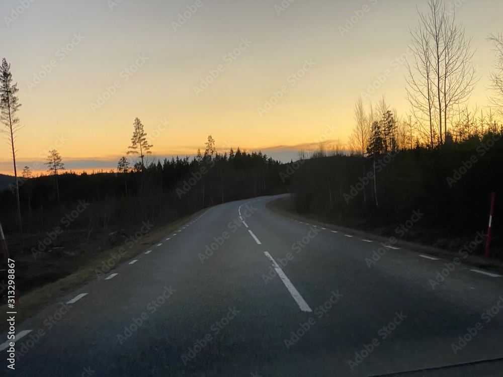 Obraz premium road at night