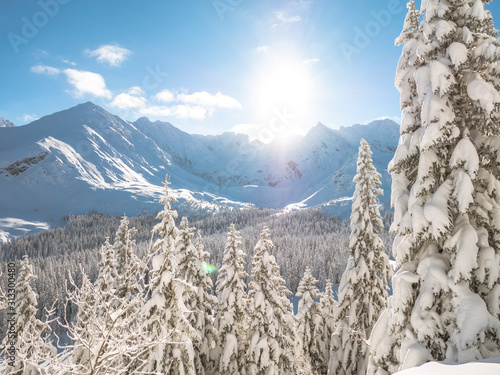 Góry i las w śniegu i słońcu