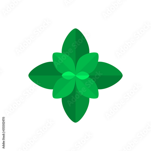 Basil or mint leaf icon. Green mint or basil leaves on white background. Aromatic tasty herb for flavoring dishes. Abstract basil plant symbol for food decoration. Vector illustration, flat, clip art.