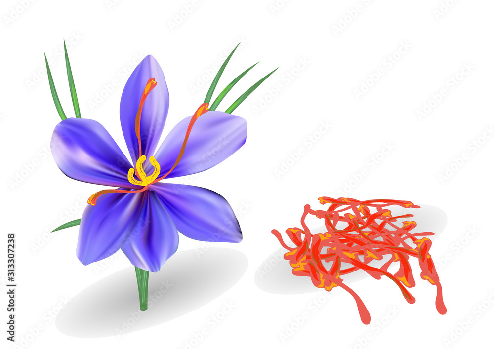 saffron with flower on white