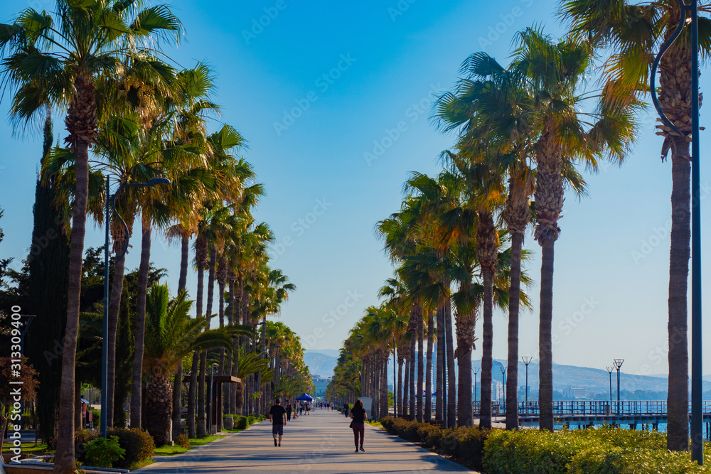 Republic of Cyprus. Rows of palm trees on the Limassol waterfront. Promenade Of Molos. The mediterranean coast. Limassol mountains in the background. Walking along the sea.