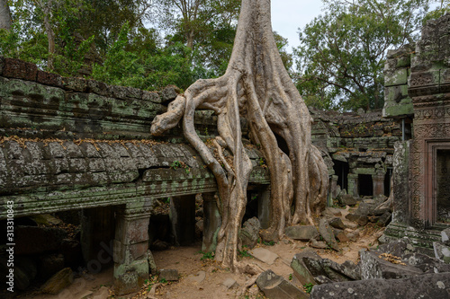 Ta Prom  arbres  racines et temple