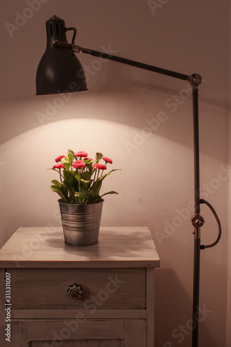 Front view of vase with flowers and lamp. Little corner interior. Vintage photography