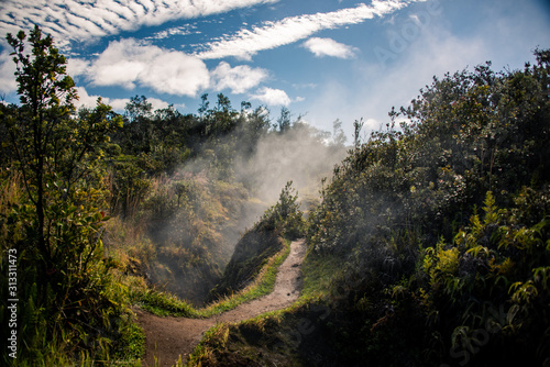 Steam Vents in Hawaii 