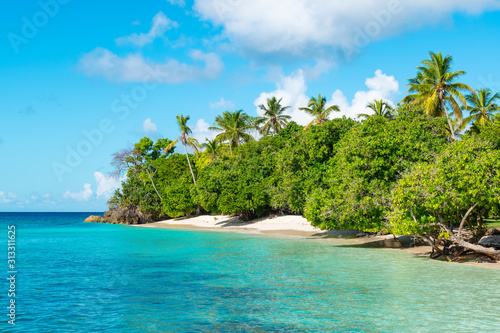 Cayo Levantado  Samana Island  Dominican Republic. Idyllic palm tree and beach landscape. 