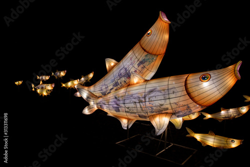 Fish Lanterns with Paintings Swimming 