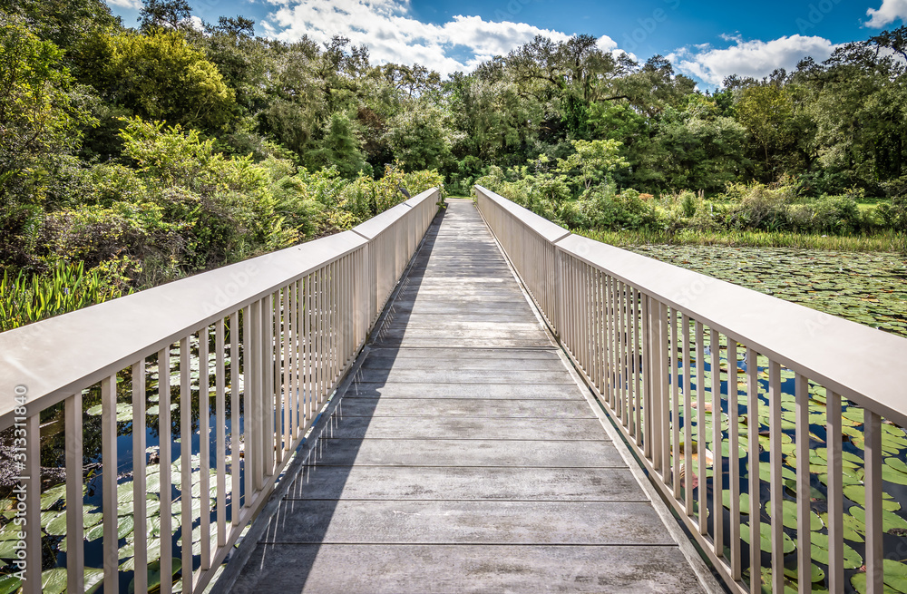 Wooden boardwalk at the swamp of the Everglades National Park, Florida, USA.
