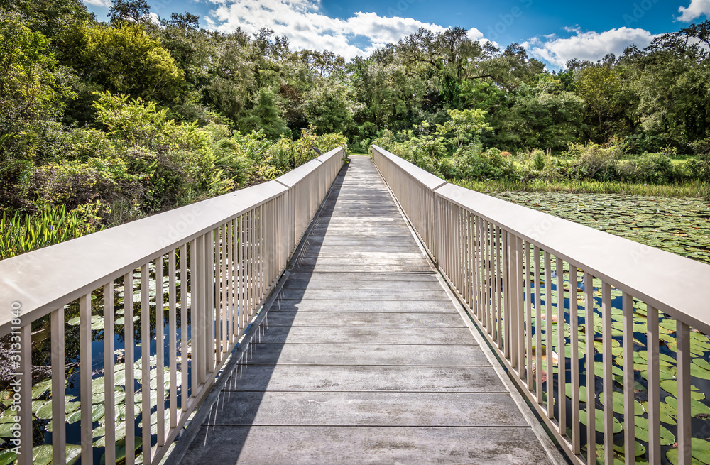 Wooden boardwalk at the swamp of the Everglades National Park, Florida, USA. Wooden boardwalk at the swamp of the Everglades National Park, Florida, USA.