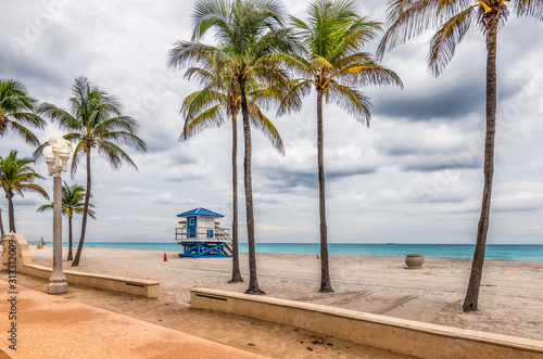 Palm trees on the beach of Hollywood  Florida.