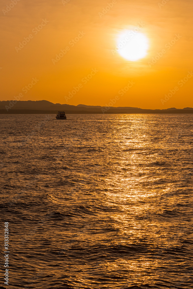 Sunset at sea. copy space. vertical photo. toned Sunset at sea. copy space. vertical photo. toned