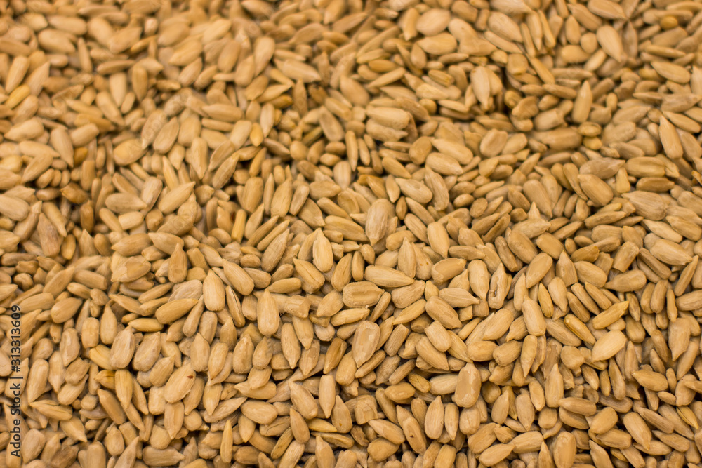 fried sunflower seeds background picture empty copy space for your text here fried sunflower seeds background picture empty copy space for your text here