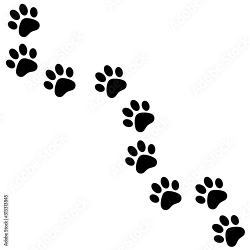 Paw trail. Paw print. Vector