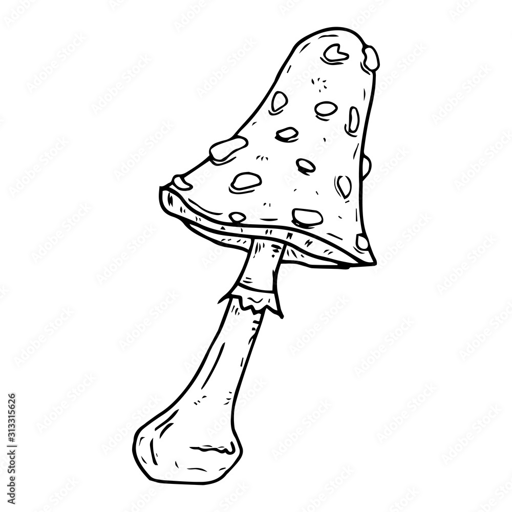 Mushroom icon. Vector illustration of autumn mushrooms. Hand drawn mushrooms in the forest.