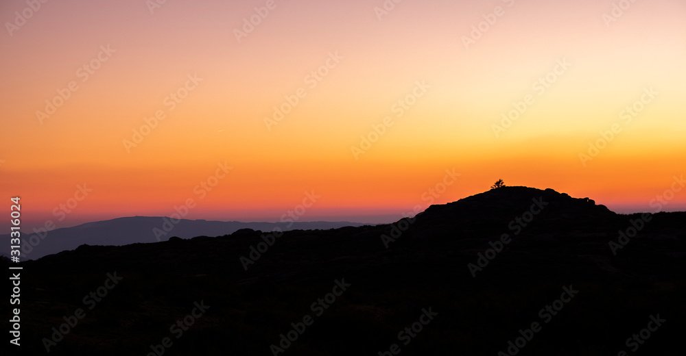 Pequena árvore isolada na montanha ao pôr do sol Pequena árvore isolada na montanha ao pôr do sol