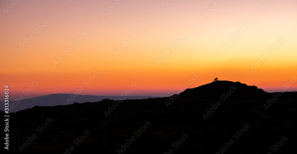 Pequena árvore isolada na montanha ao pôr do sol