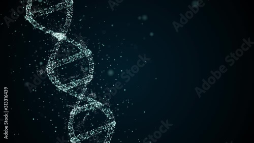 Analysis of DNA Structure. DNA strand molecule consisiting of four pieces adenine, thymine, guanine and cytosine.