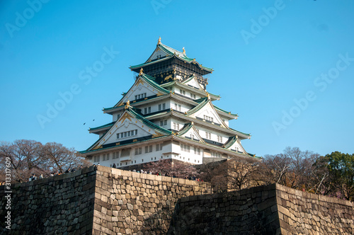 Japanese castles/temples