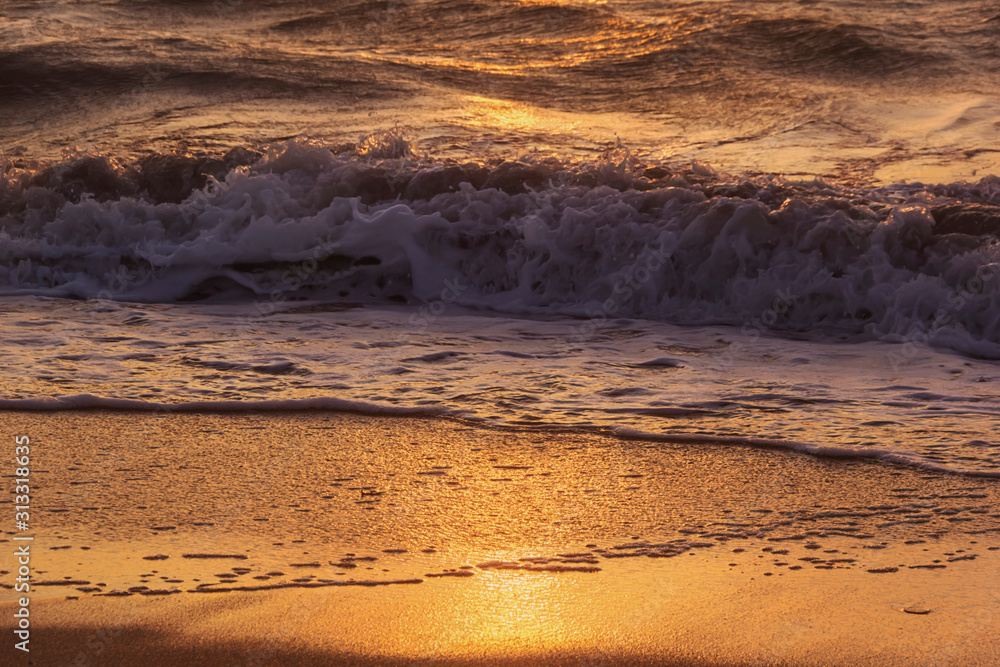 Golden wave at dawn on a summer morning at sea