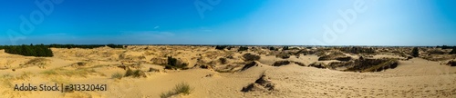 Panoramic view of Oleshky Sands on a blue sky in the Kherson region in Ukraine, the largest desert in Europe. Horizontal shot. 