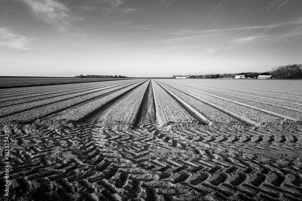Obraz premium Plowed pasture in black and white