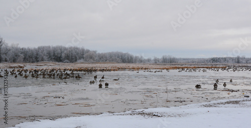 Winter Landscapes in Canada