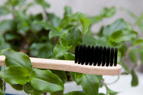 bamboo toothbrush on leaves grass green  flower  friendly eco concept  zero waste  life without plastic