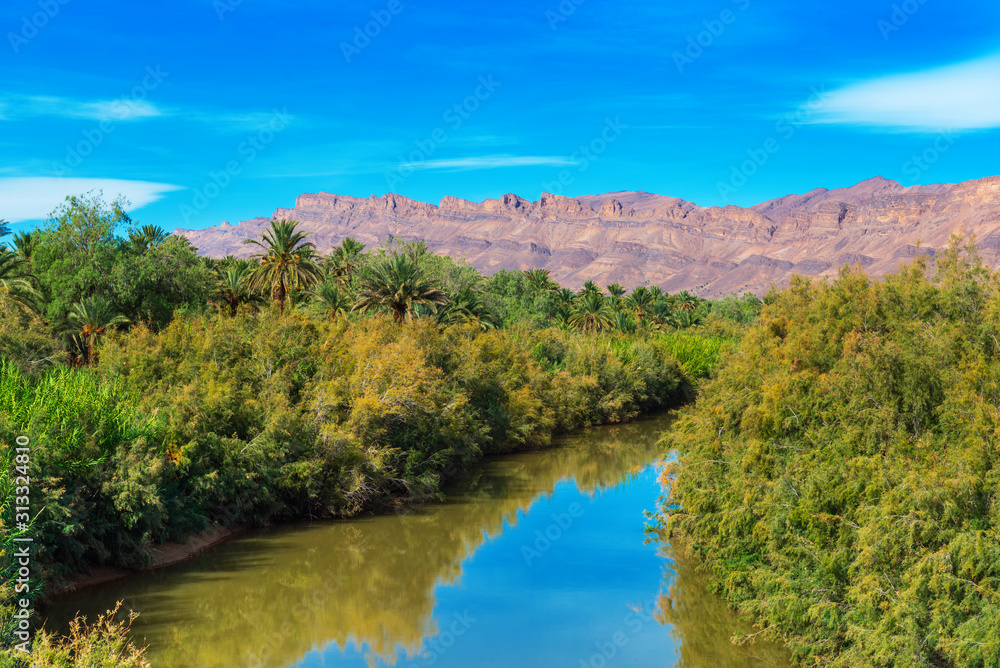 A view of the landscape of the river Draa, Morocco.