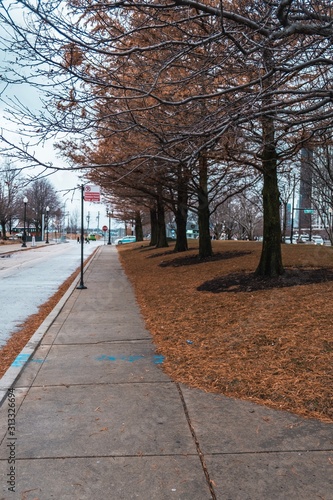 crosswalk in the winter with flag 