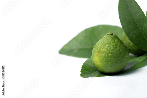 kaffir lime / Citrus × hystrix DC, also known as jeruk purut, one kind of citrus that usually used fo cooking and traditional medicine. Shoot on a white isolated background