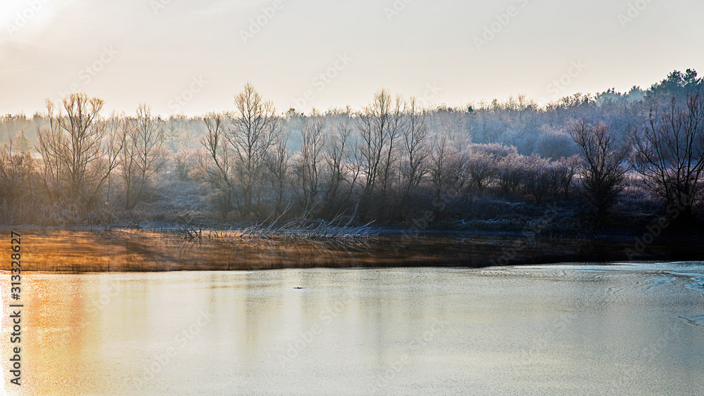 Fototapeta premium Beautiful nature scenes