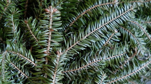 Christmas Tree Macro